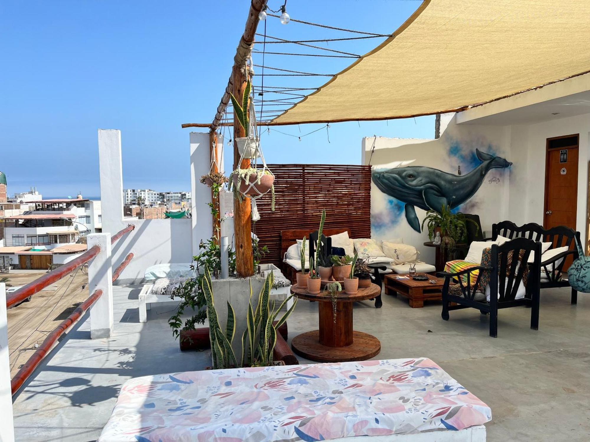 Bravo Hostels: Surf House プンタ・エルモサ エクステリア 写真