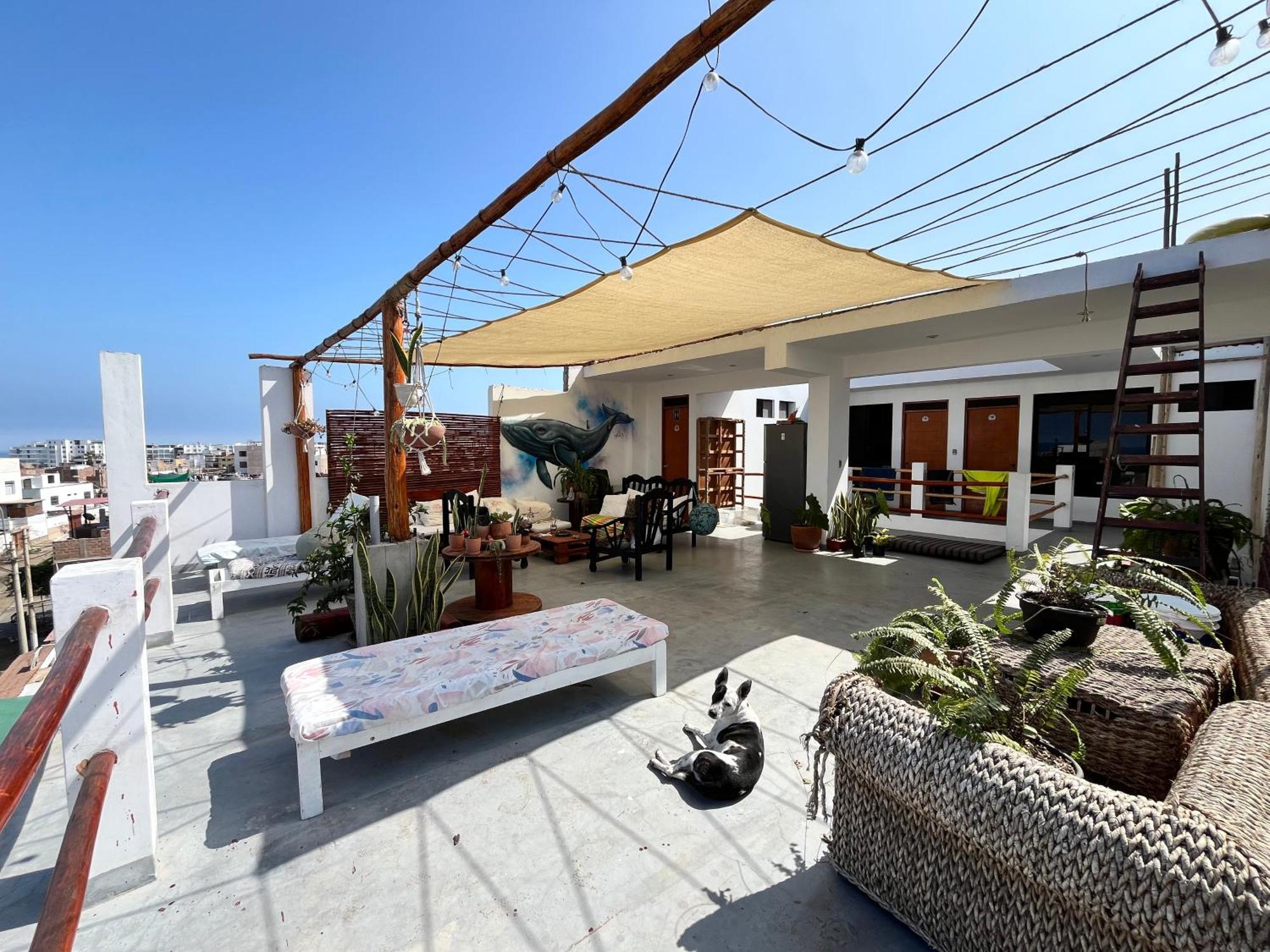 Bravo Hostels: Surf House プンタ・エルモサ エクステリア 写真